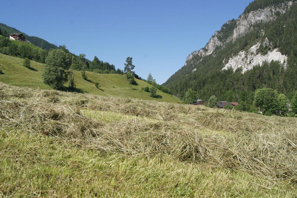Apartamento Zeffererhof Schladming Exterior foto